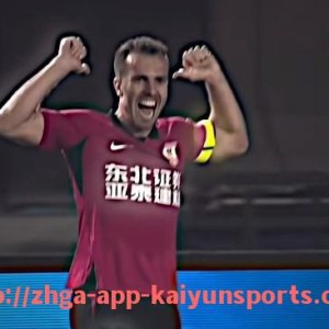 开云体育app下载-德甲中的TSG是哪支球队及其历史简介